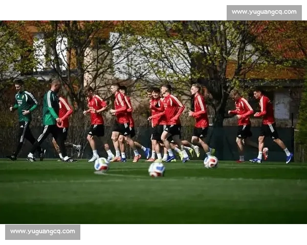 匈牙利vs希腊焦点对决解析欧洲赛场战术与走势前瞻深度观察全面